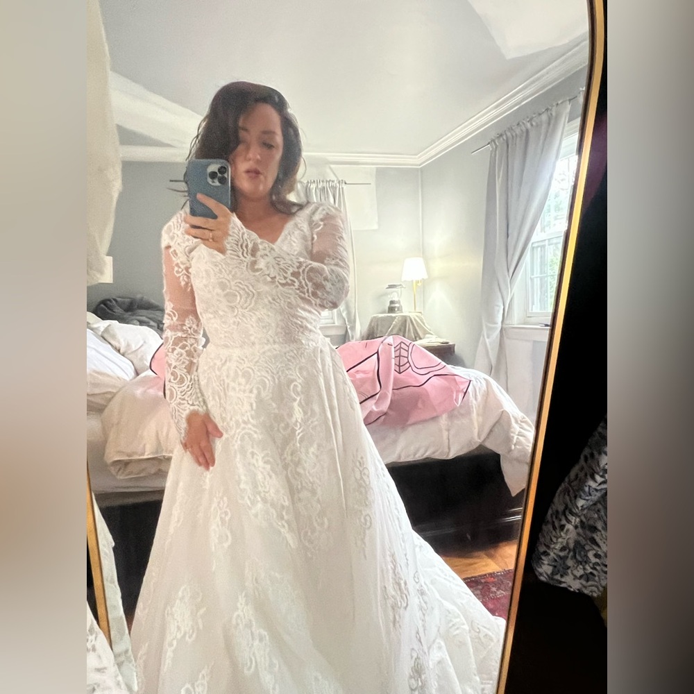 Calle Blanche Raven Lace Wedding Dress - Picture 7 of 8